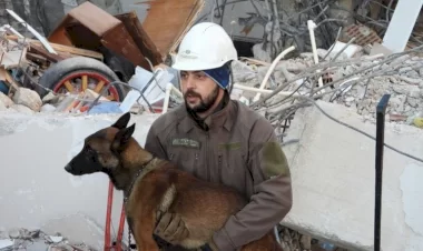 Samandağda arama kurtarma köpeği Tetik tek başına 15 kişiyi kurtardı