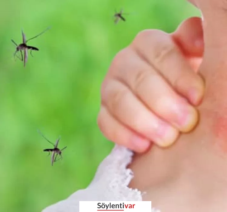 İstanbul'da sivrisinek şikayetiyle hastaneler doldu