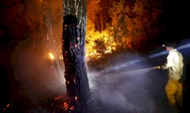 Kemer ve Saruhanlı'da yangınlar devam ediyor! Müdahaleler devam ediyor