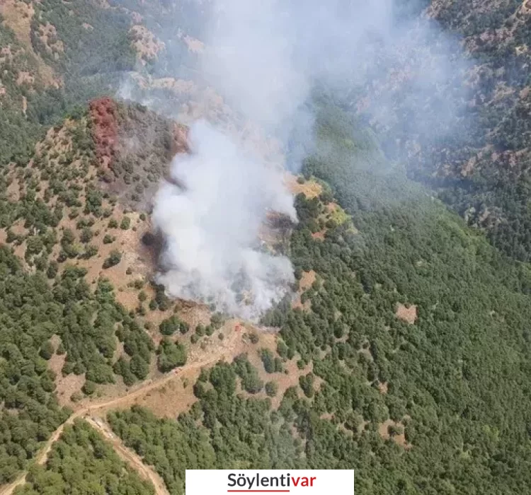 Manisa'da orman yangını! Alaşehir'de yangın çıktı!